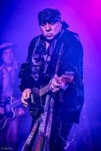 Little Steven and The Disciples of Soul performing at RBC Ottawa Bluesfest on July 4, 2019.